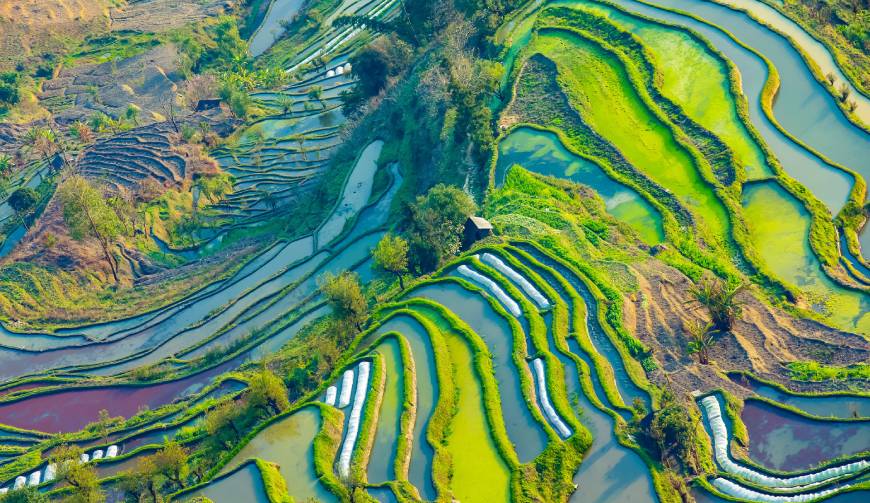 宝妈必备神器：伍家岗区产品视频拍摄轻松育儿好帮手