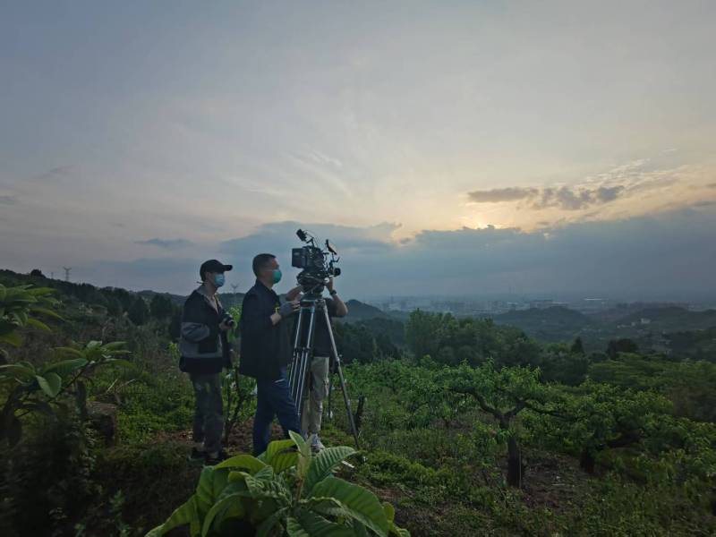 创意破圈！伍家岗区电商产品宣传视频用故事化叙事引爆流量