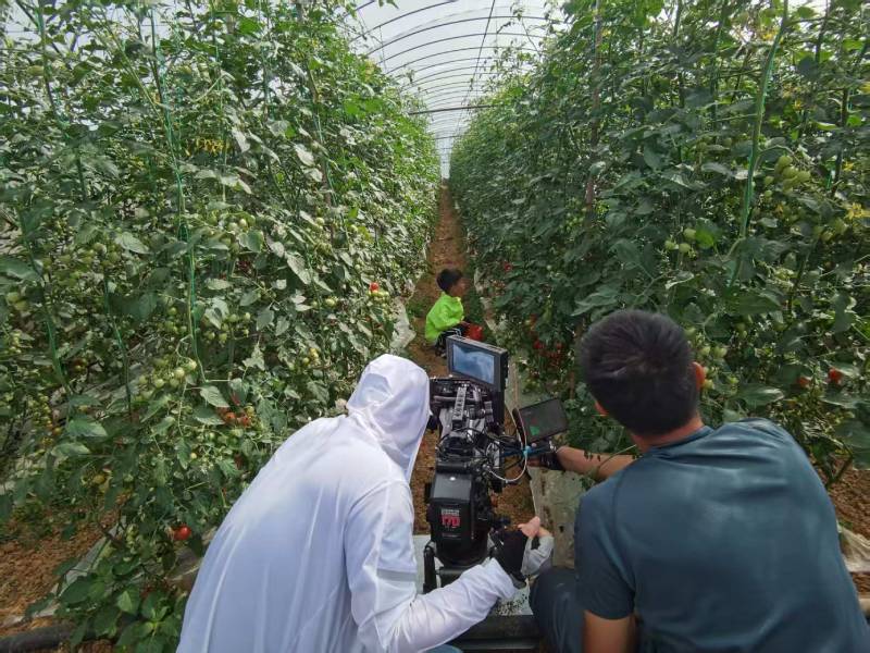 伍家岗区产品宣传视频拍摄公司进阶指南，助力品牌抢占传播高地